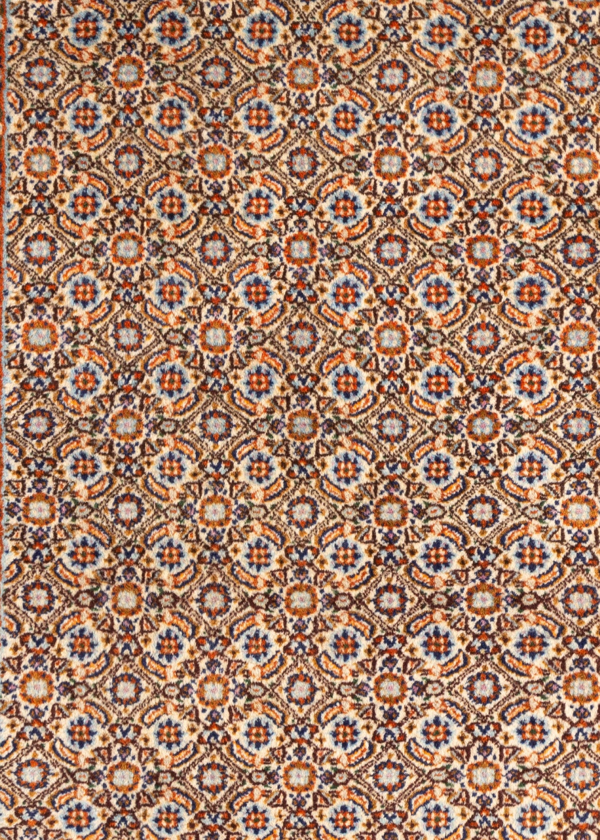 151 x 102 Moud