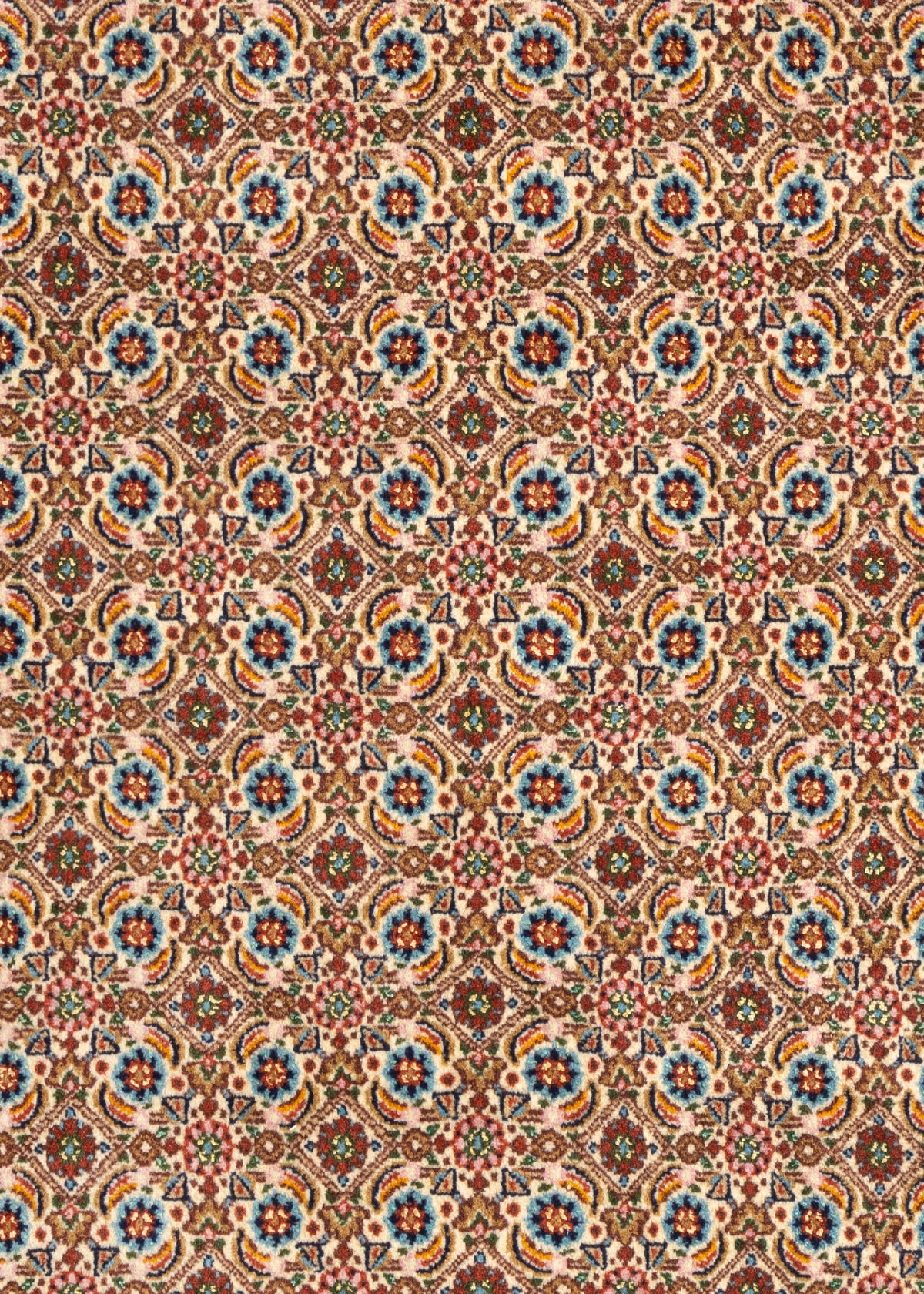 152 x 100 Moud