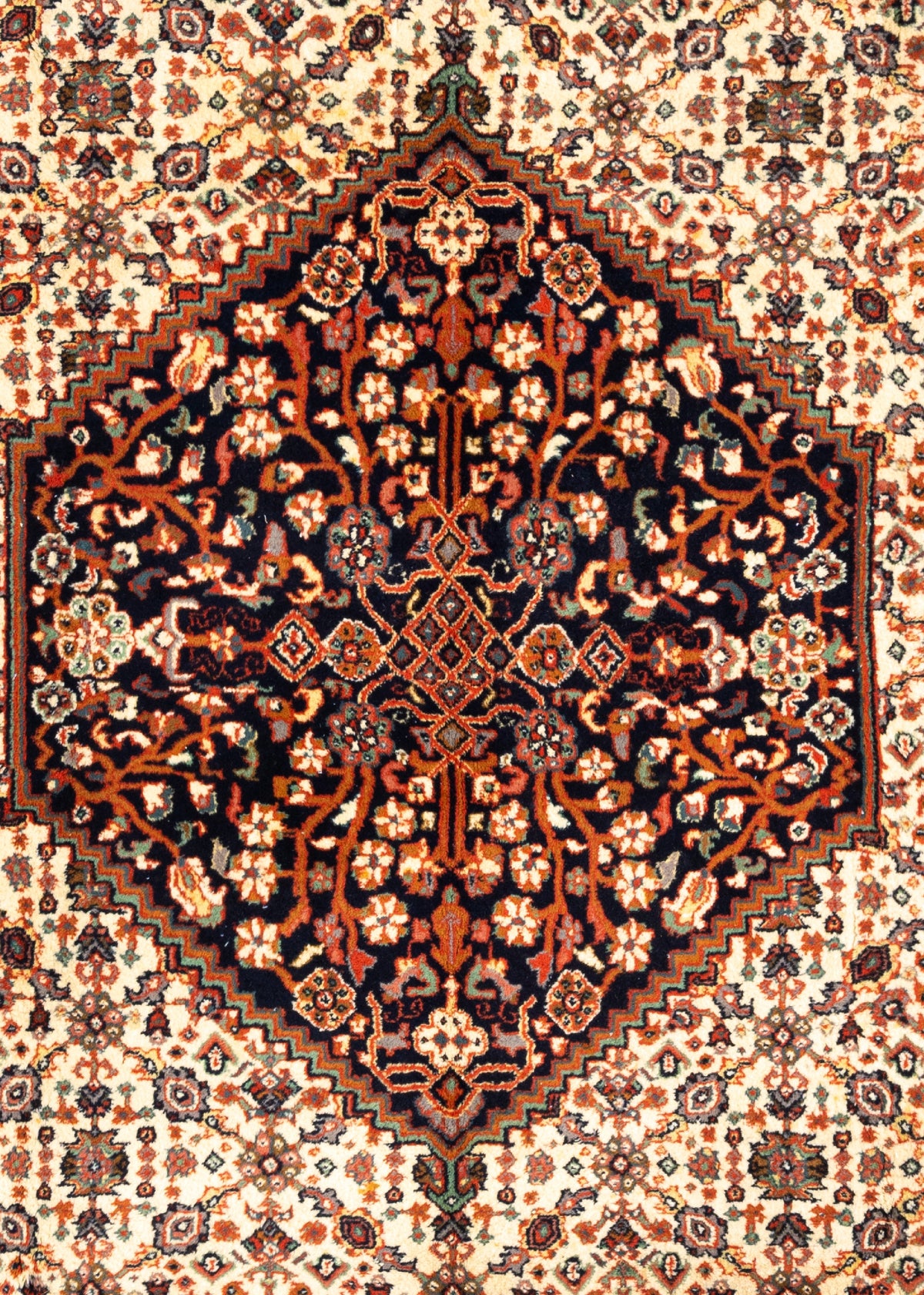 335x246 Herati