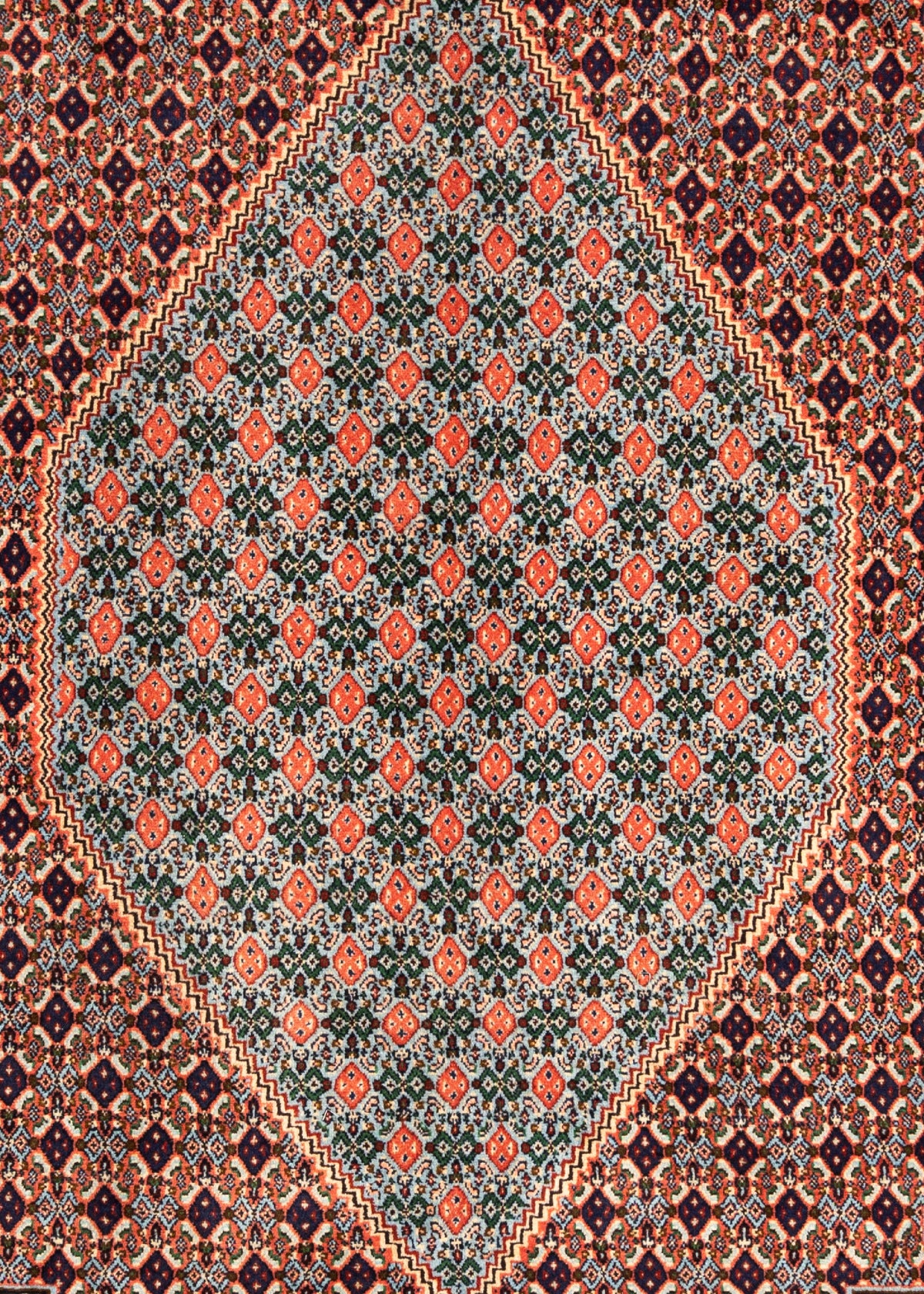 350 x 245 Bidjar