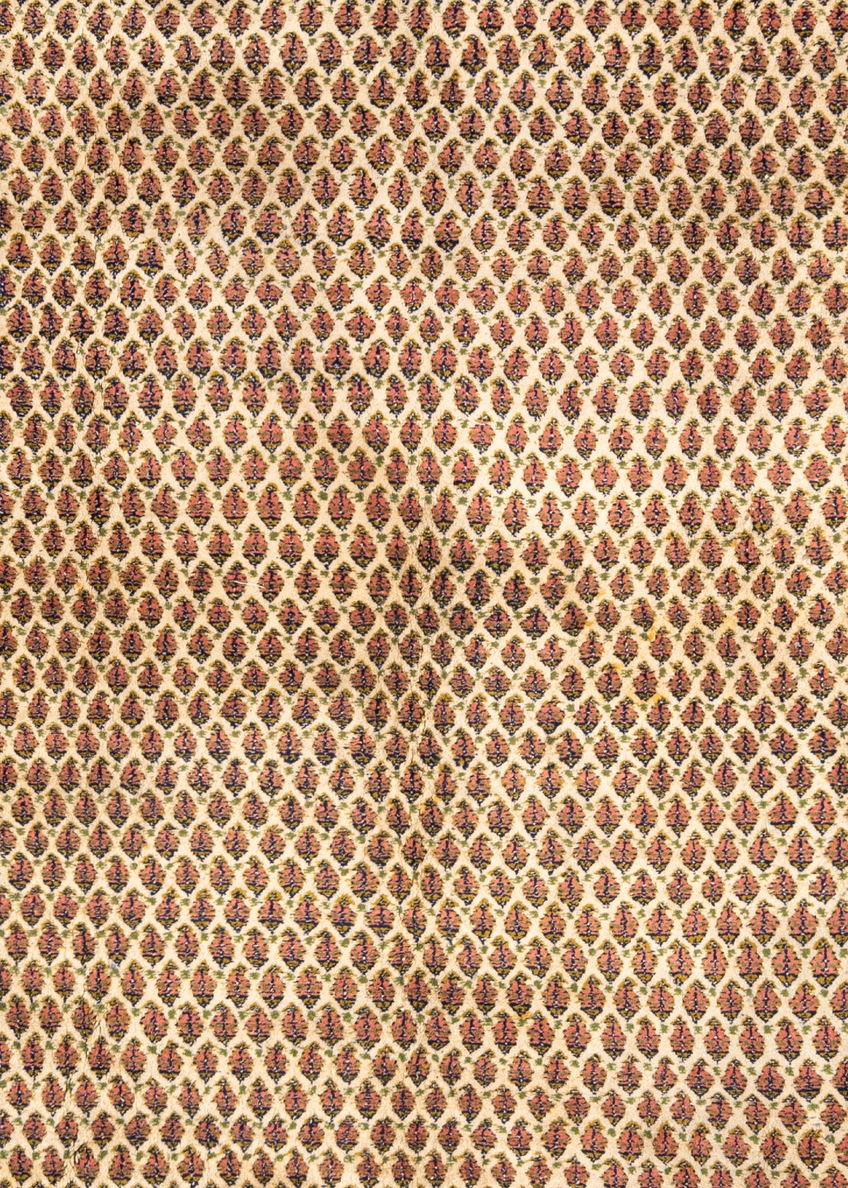 328x242 Mir