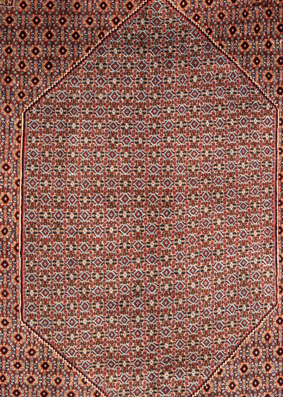 342 x 253 Bidjar