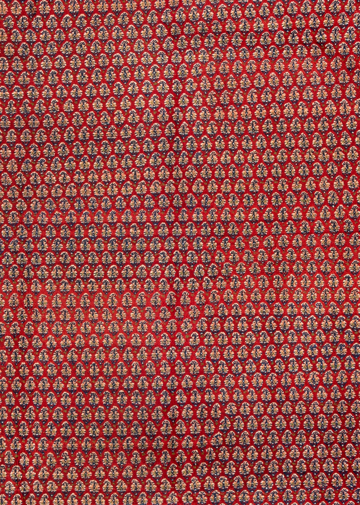 336 x 250 Mir
