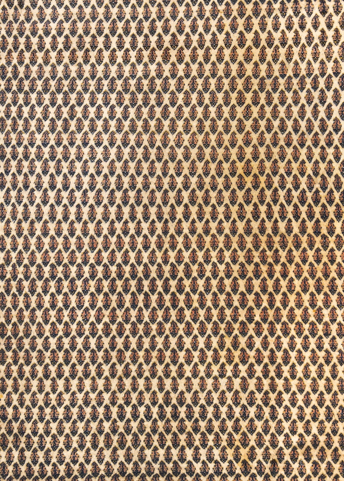 349 x 248 Mir