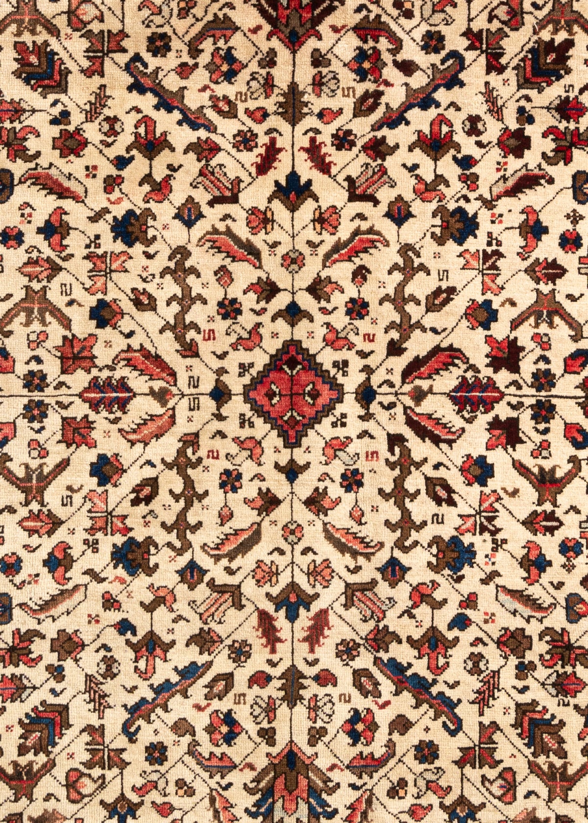 328x178 Mehronan
