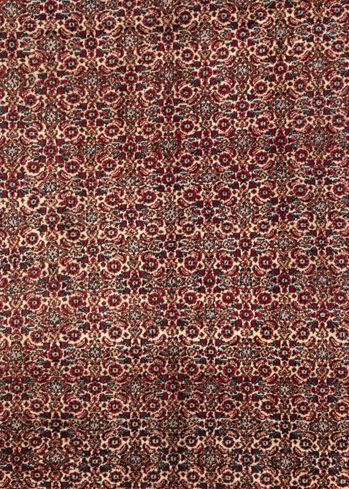 305x216 Tabriz