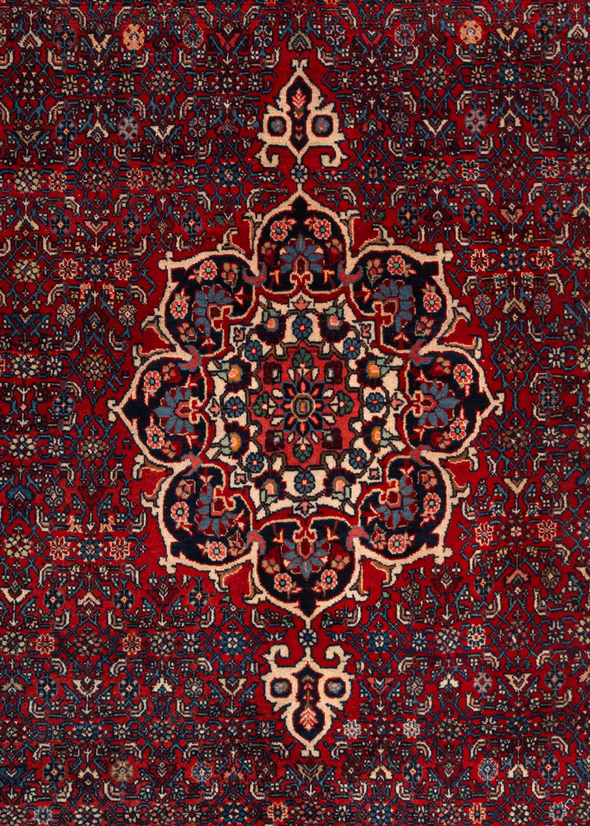 324 x 213 Saruk