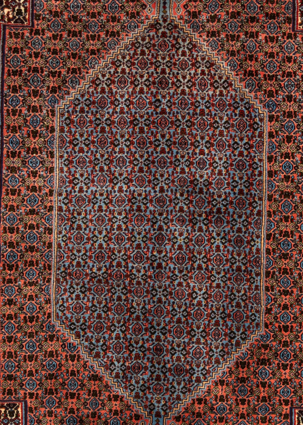 330 x 201 Bidjar