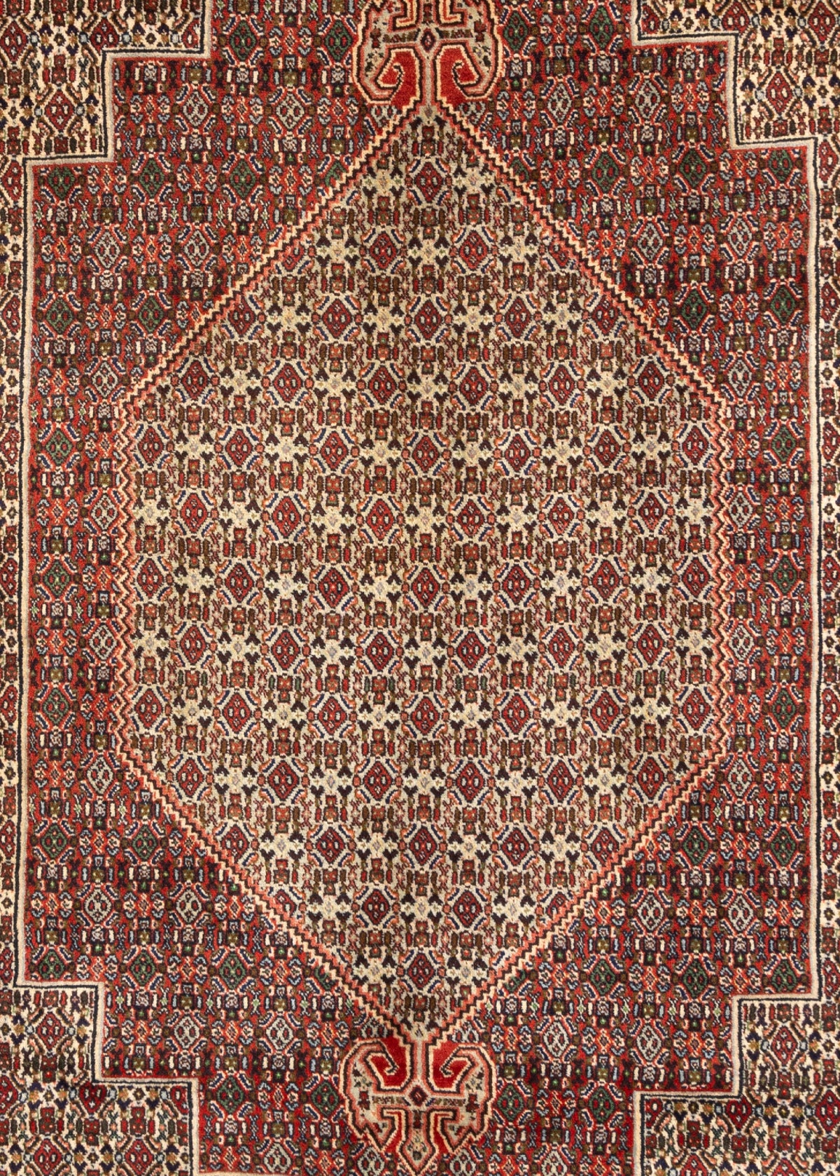 292 x 196 Bidjar