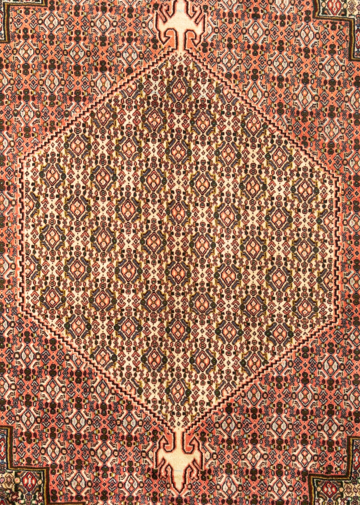 314 x 200 Bidjar