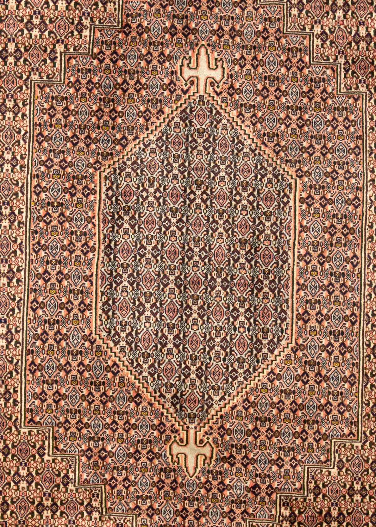 298 x 198 Bidjar