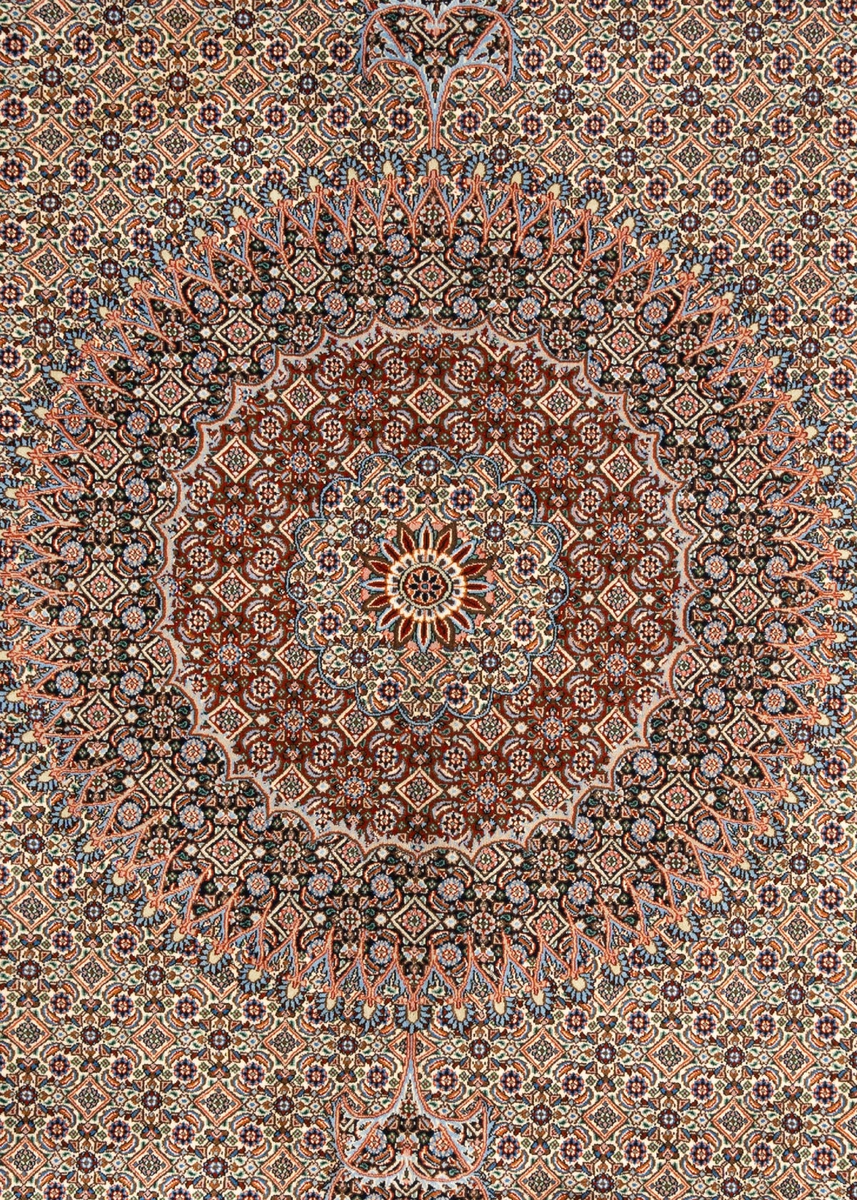 395x296 Moud