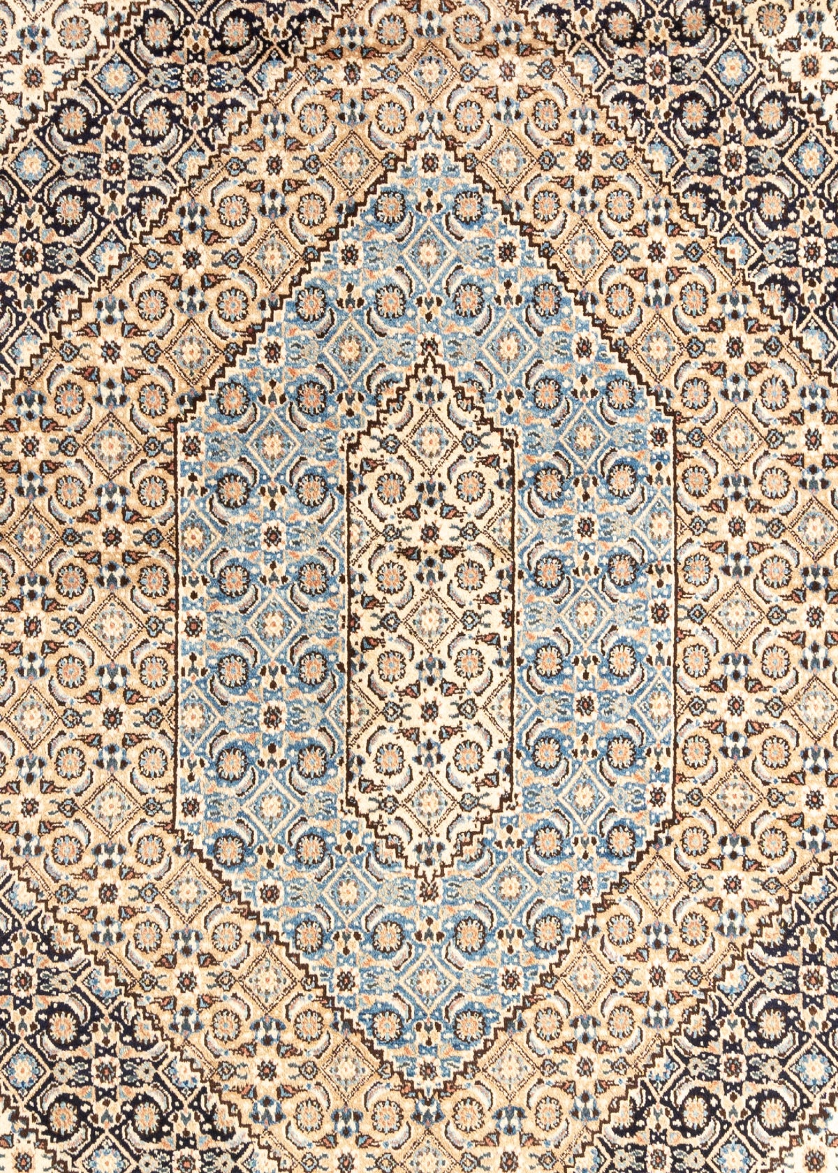 419 x 312 Kashmar