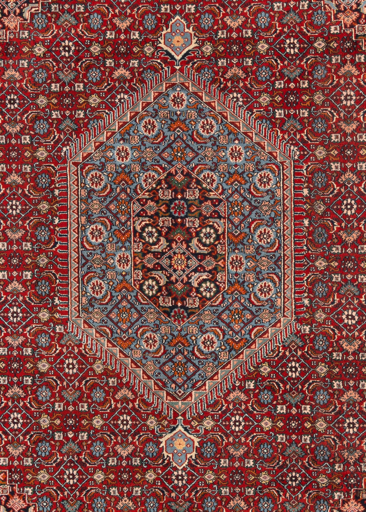 360 x 273 Bidjar