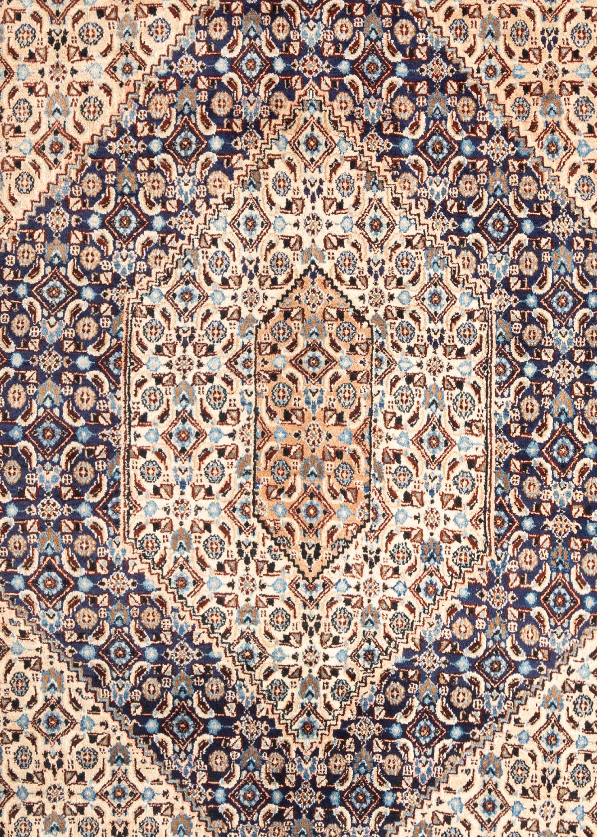 351 x 268 Kashmar