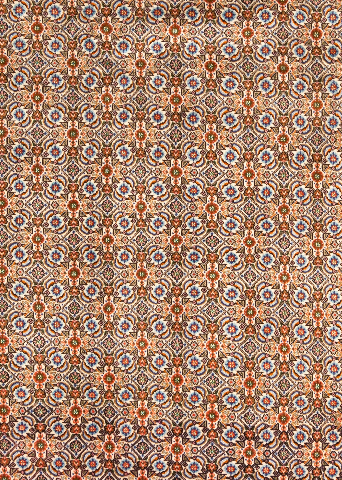 359 x 264 Moud