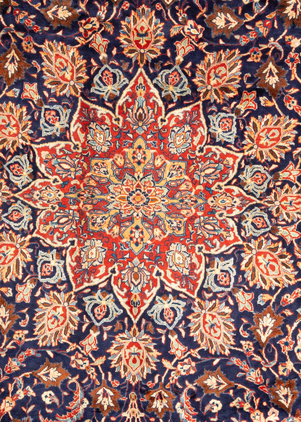 345 x 229 Saruk