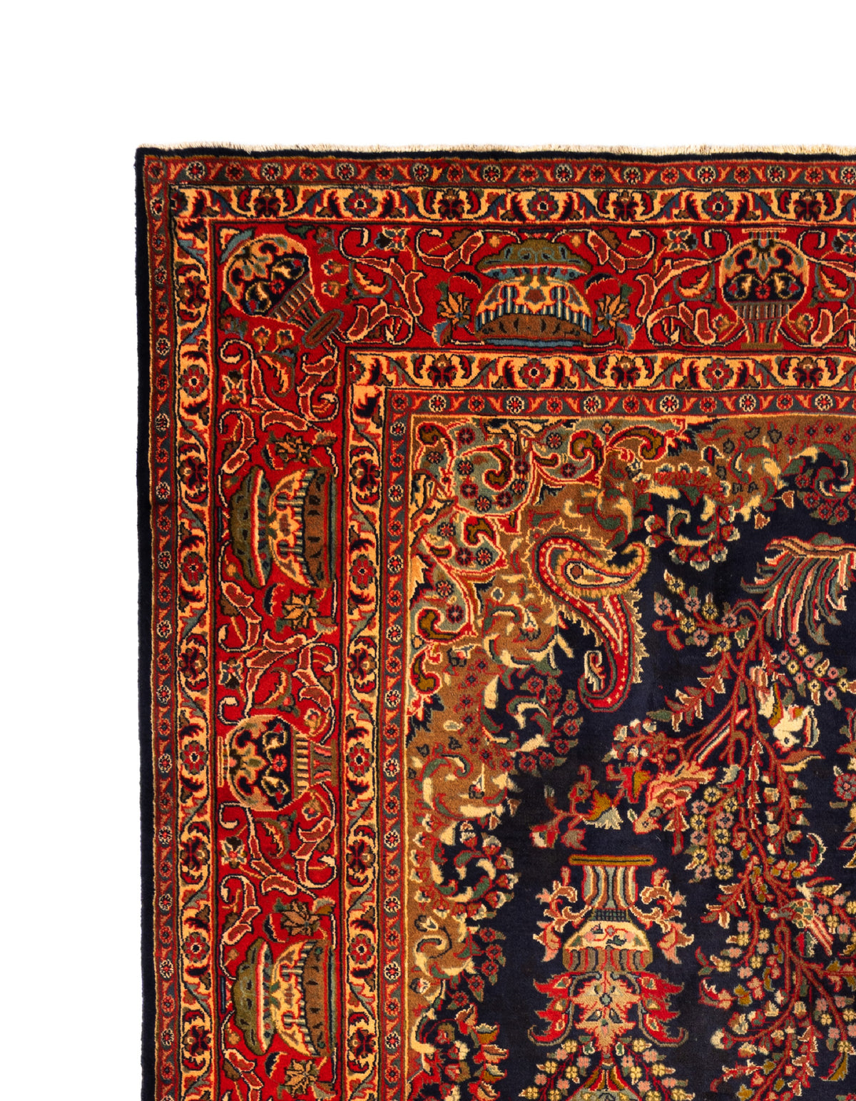 380 x 291 Kashmar