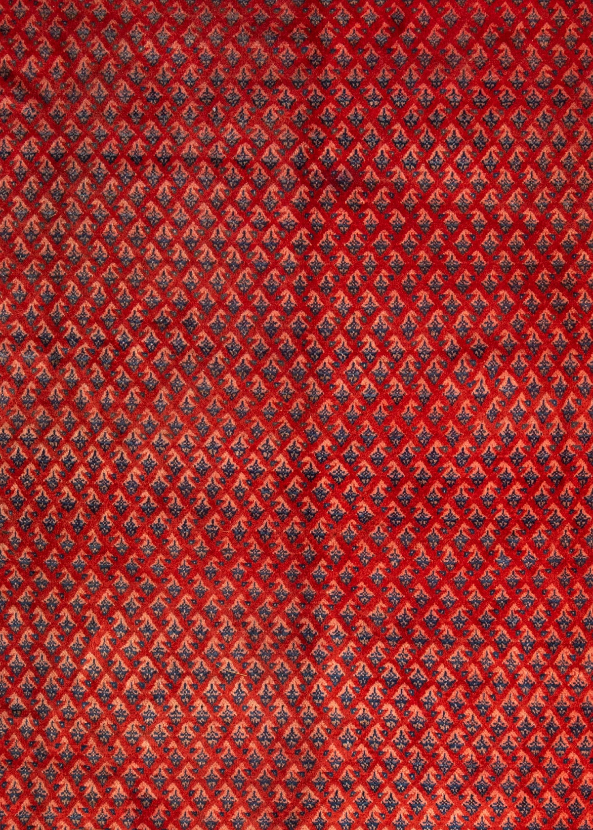 362 x 264 Mir