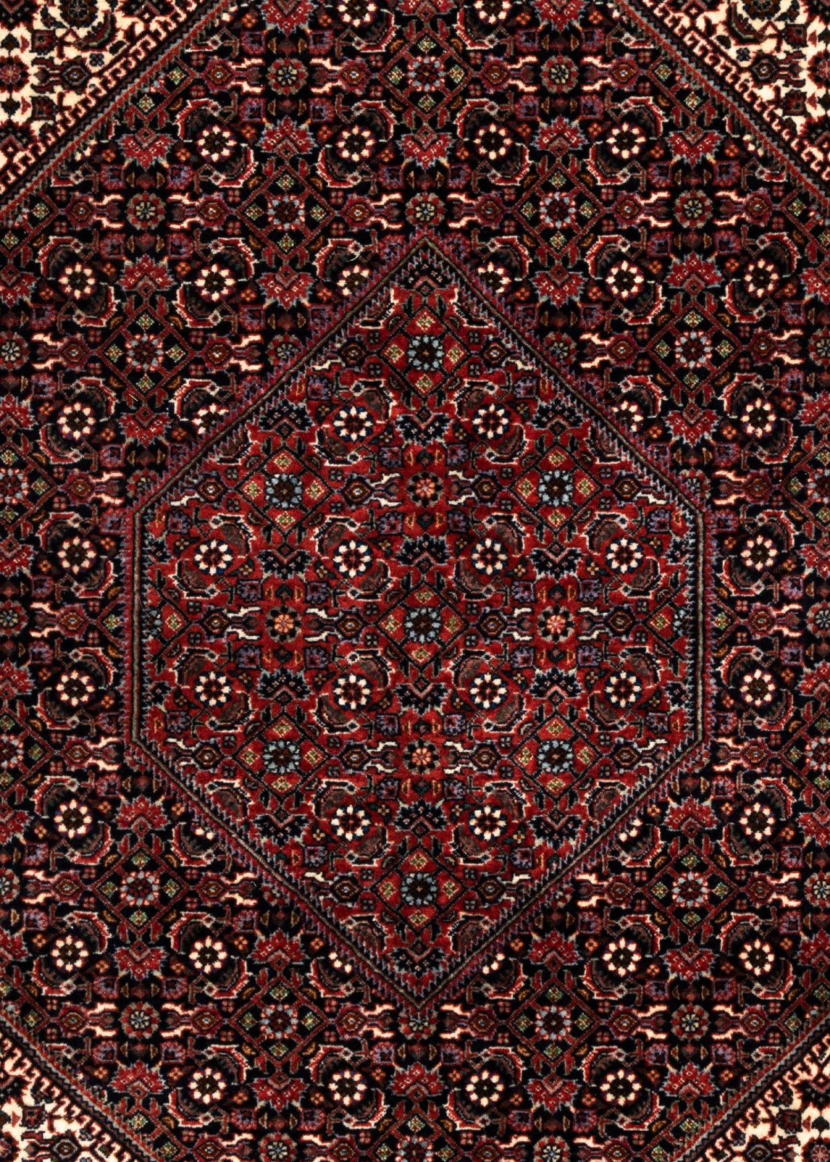 306 x 206 Bidjar