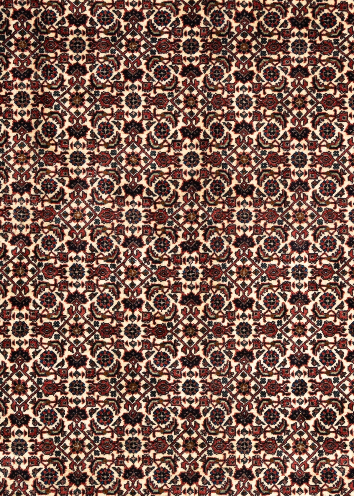 302 x 200 Bidjar
