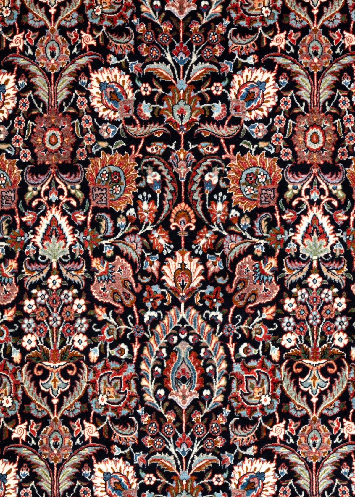 295x205 Bidjar