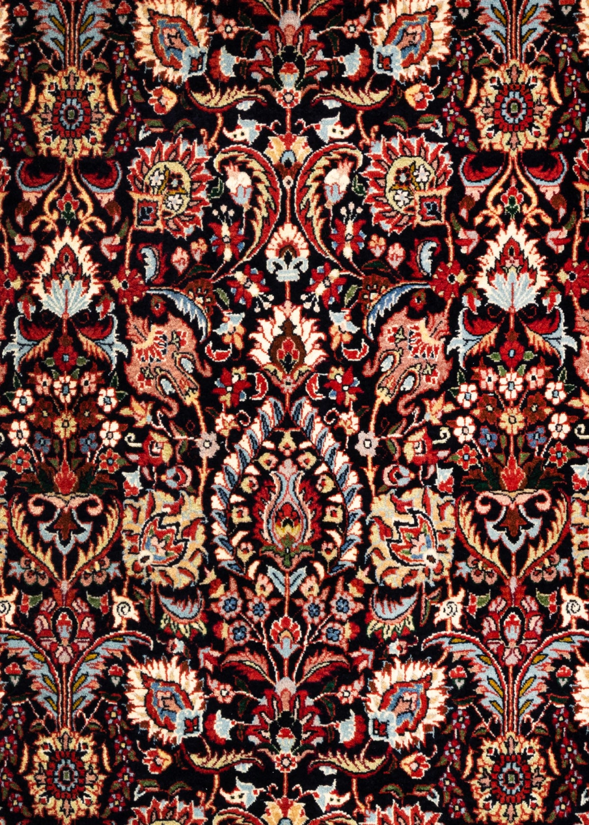 290 x 203 Bidjar