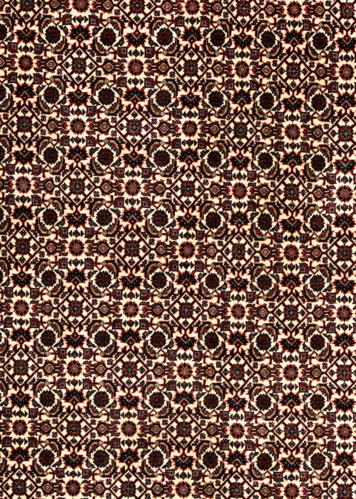 297x200 Bijar
