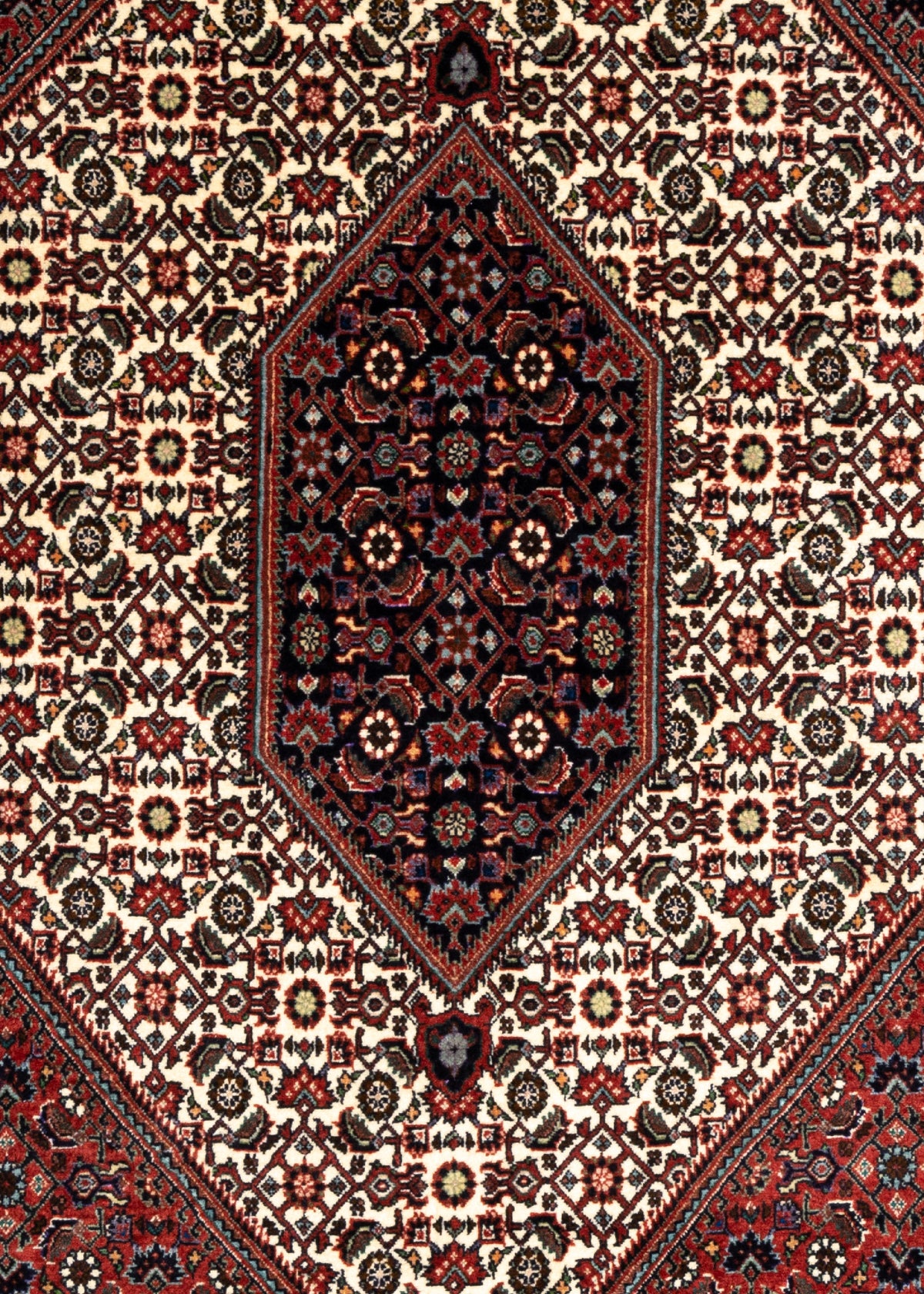 287 x 208 Bidjar