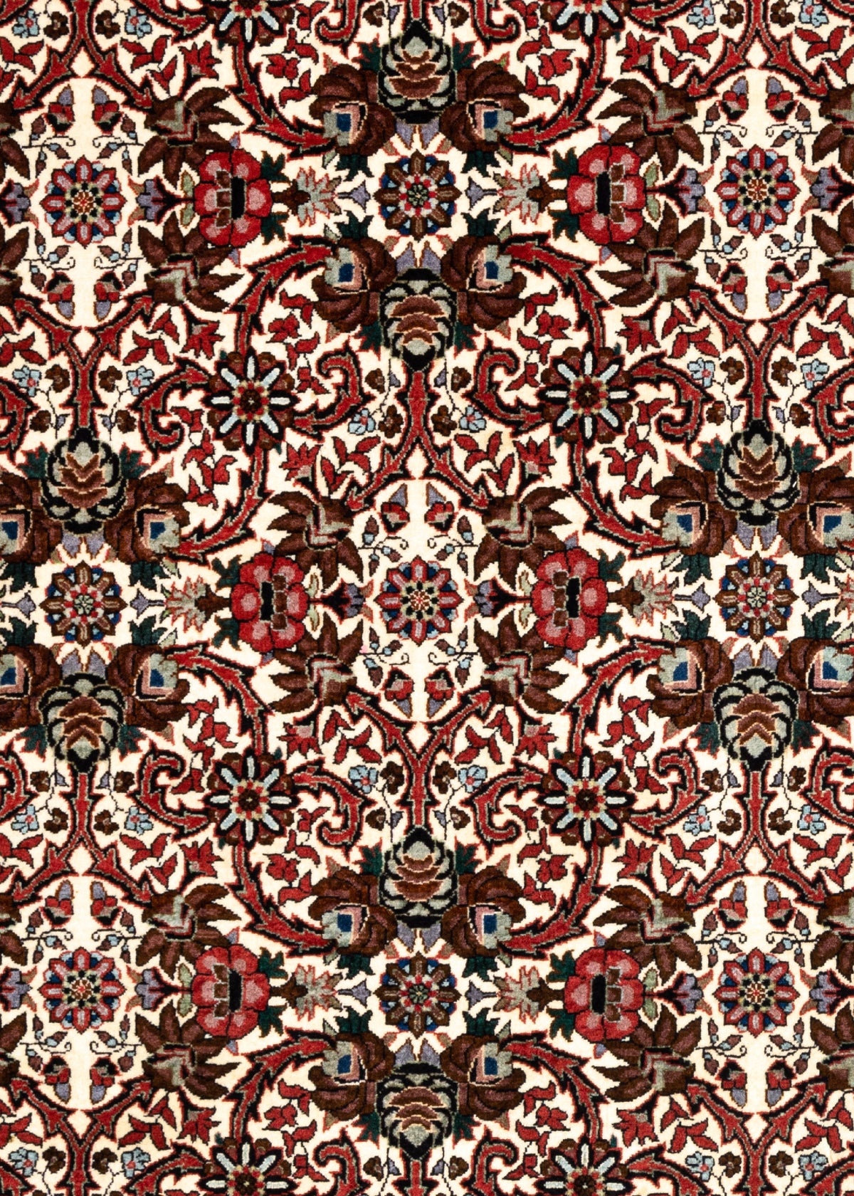 286 x 204 Bidjar