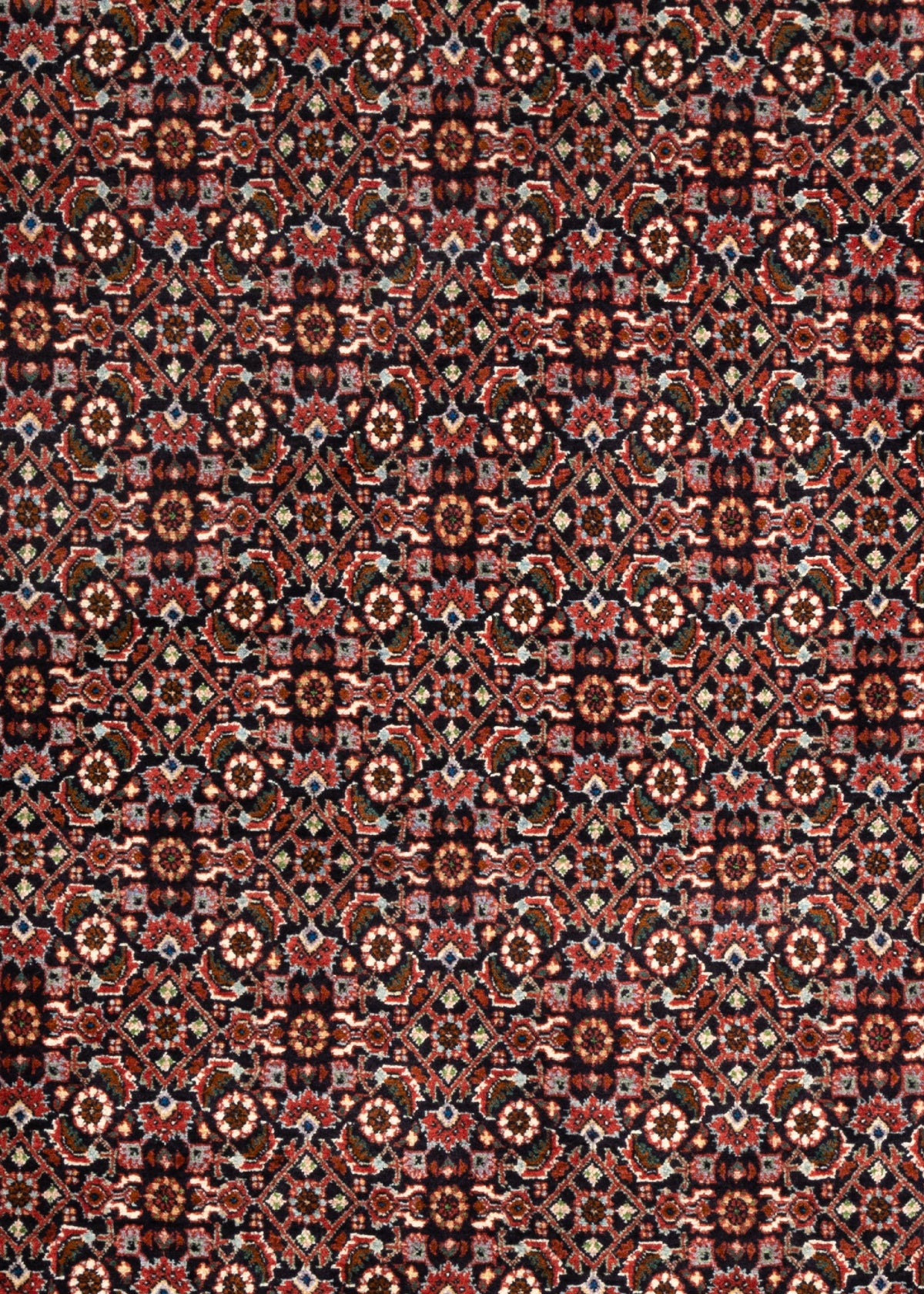 296 x 202 Bidjar