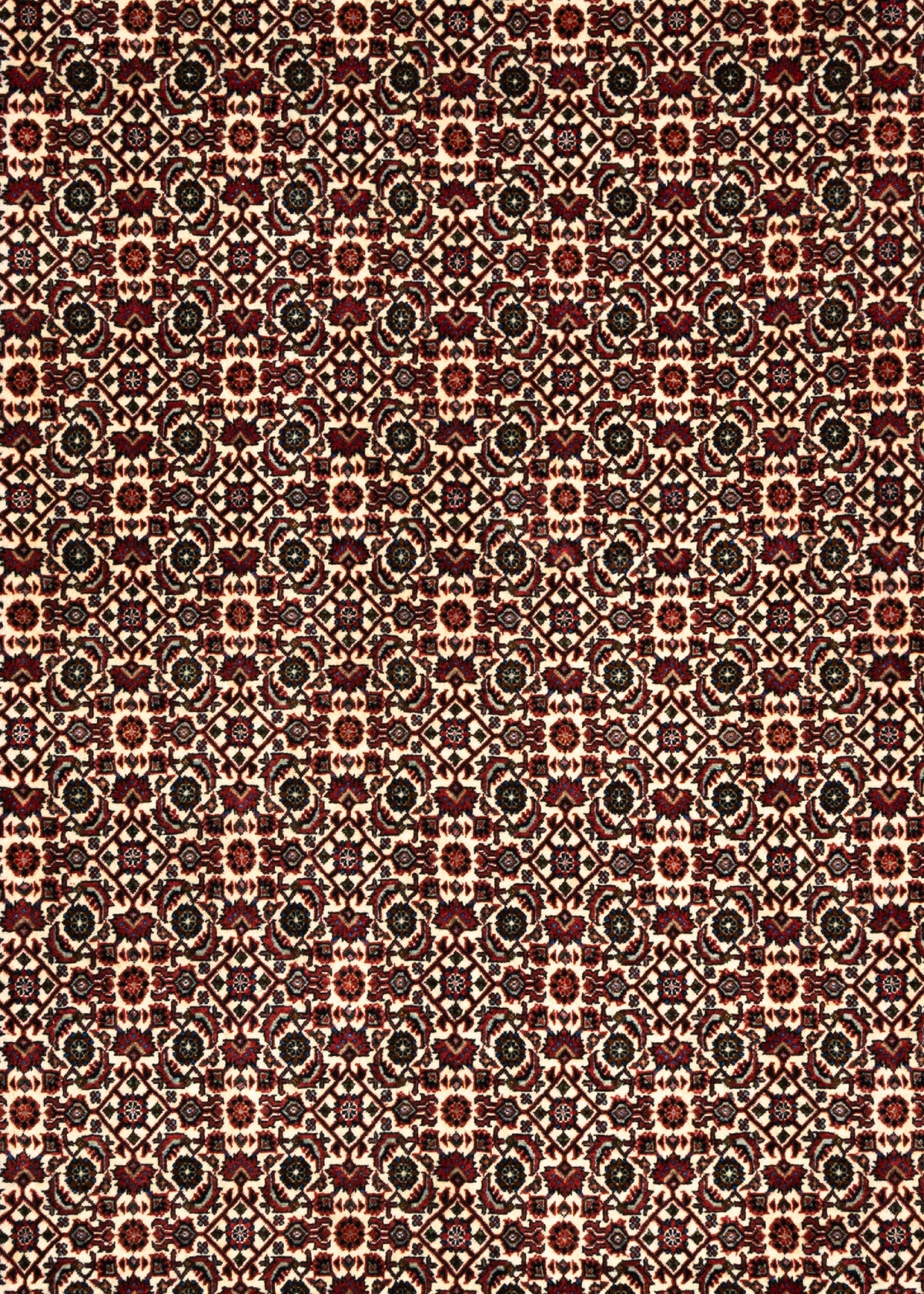 360 x 255 Bidjar