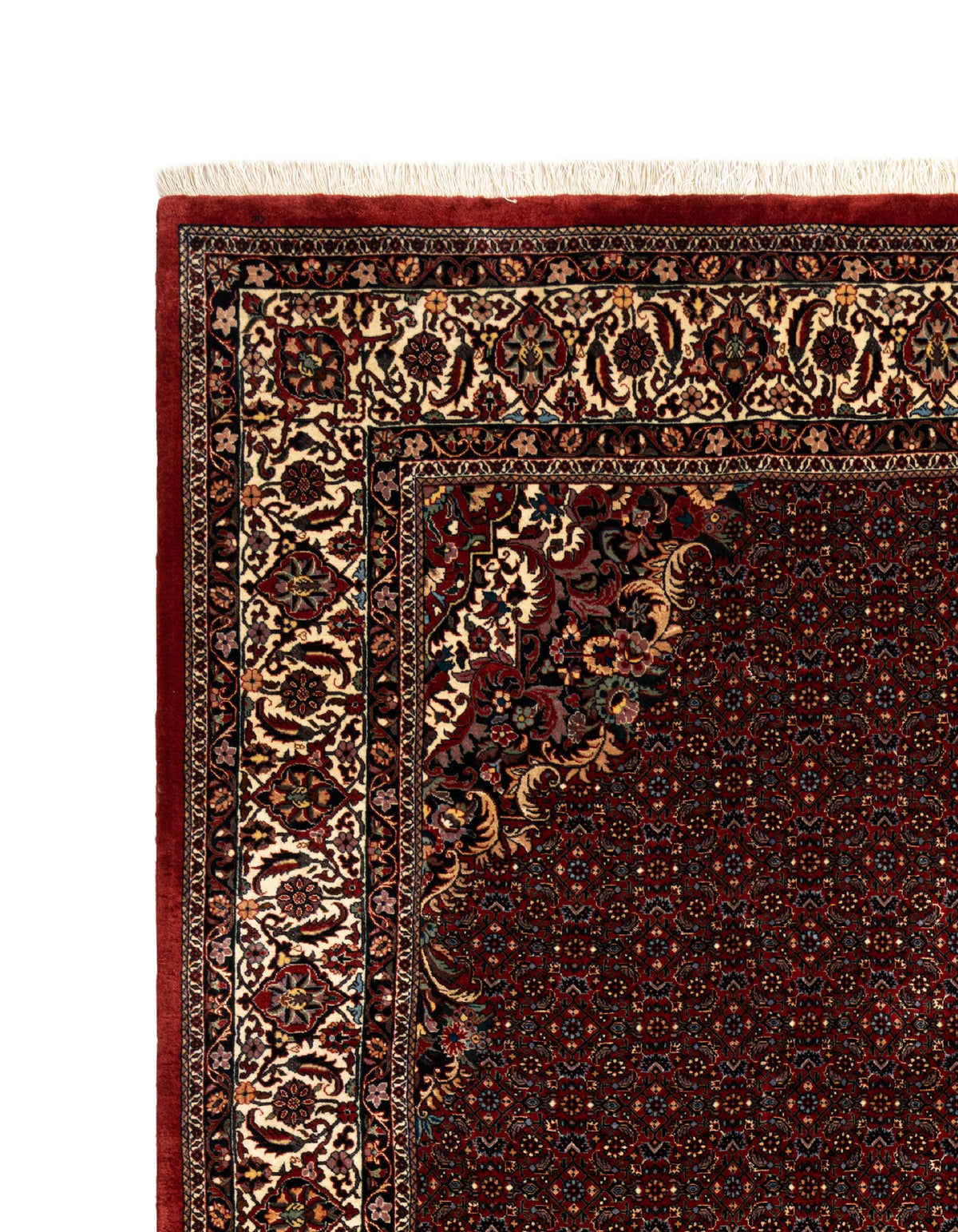 354x250 Bidjar with silk