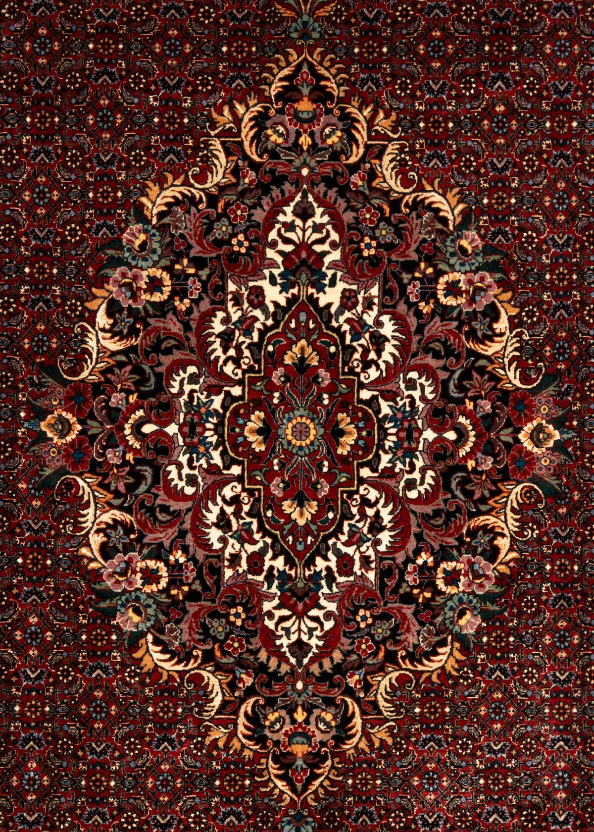 354x250 Bidjar with silk