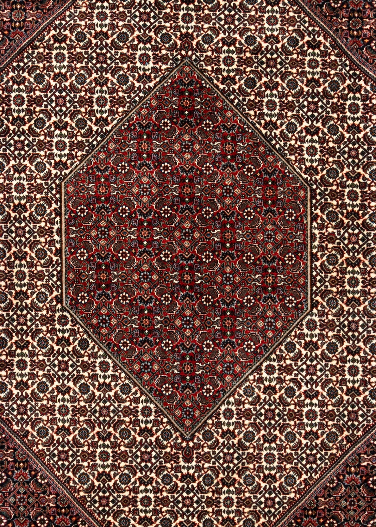 362 x 251 Bidjar