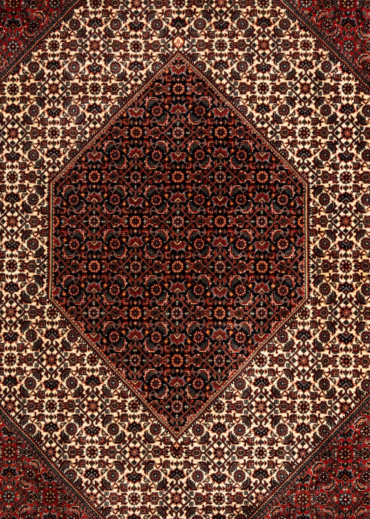 340 x 255 Bidjar mit Seide