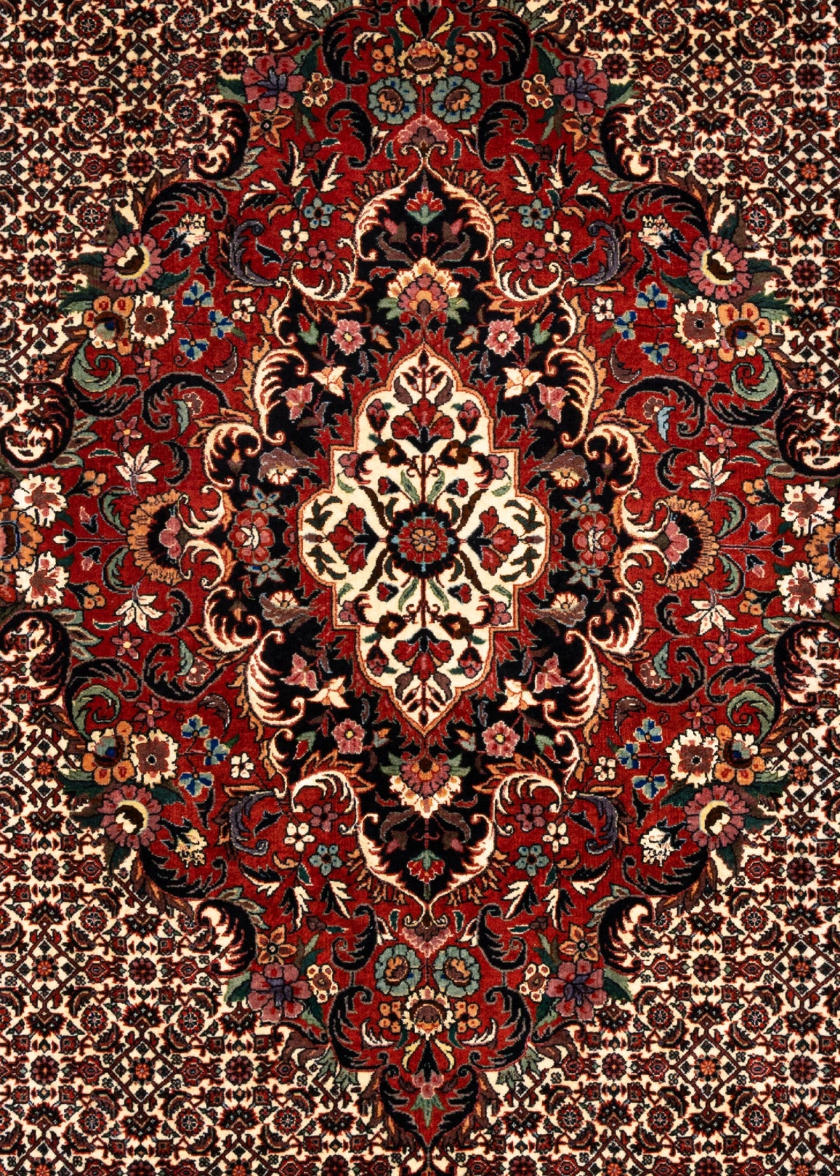 345 x 256 Bidjar