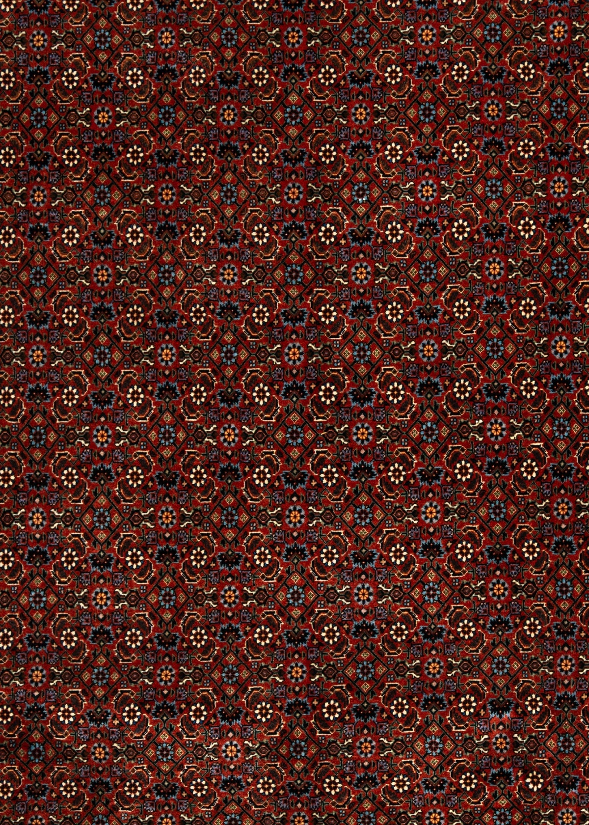 346x250 Bidjar