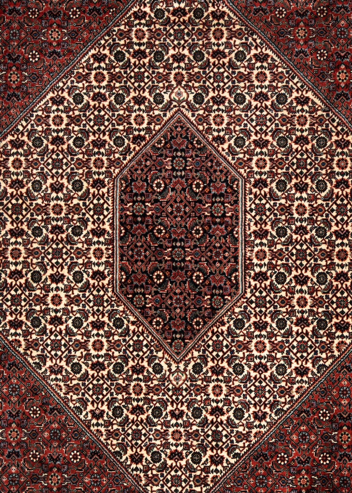 343 x 253 Bidjar