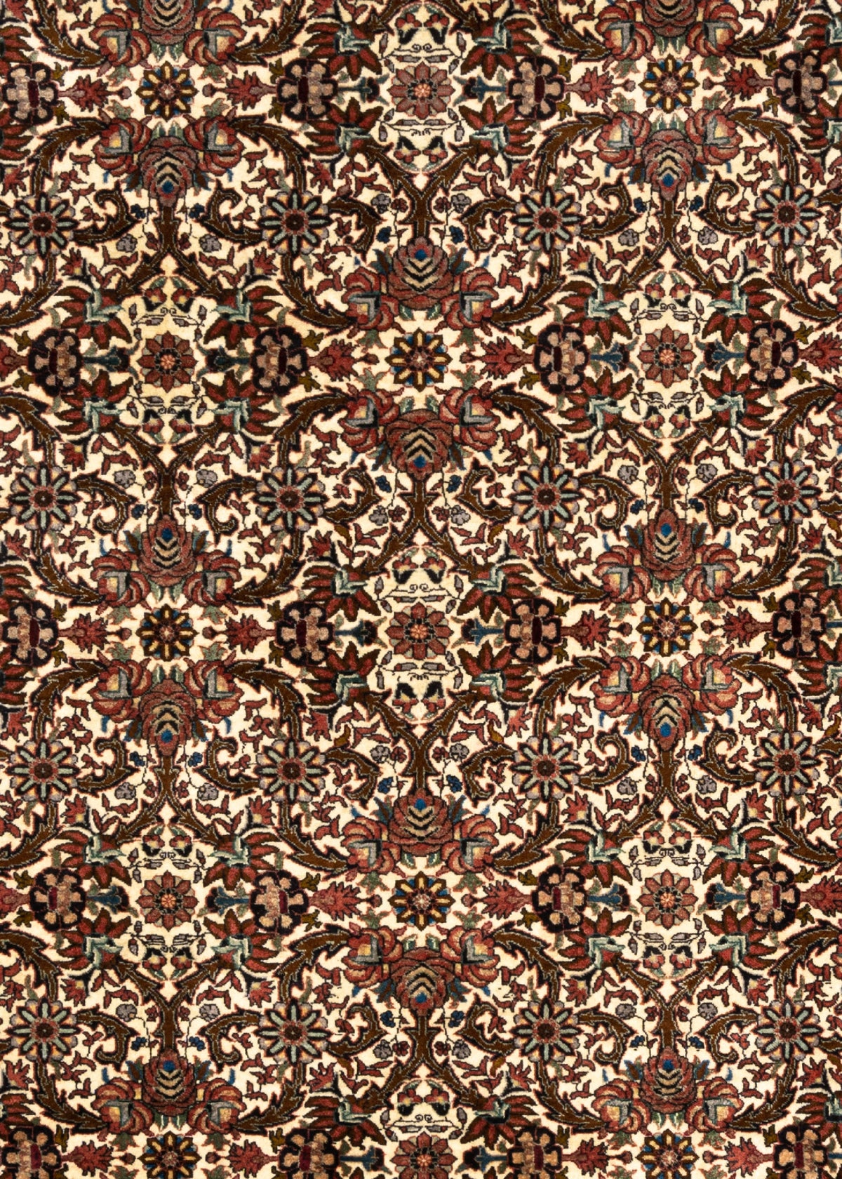342 x 255 Bidjar