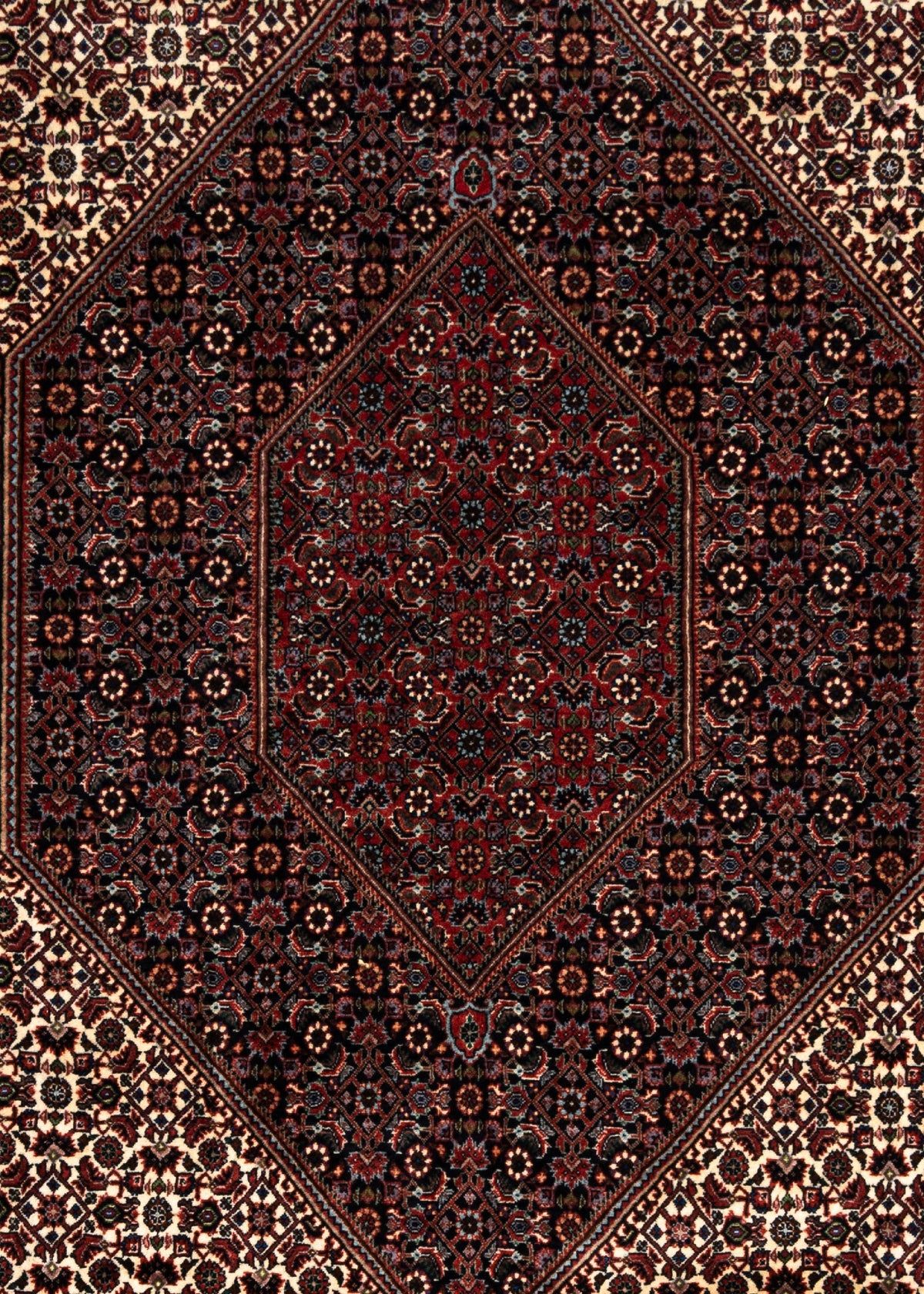 336 x 252 Bidjar