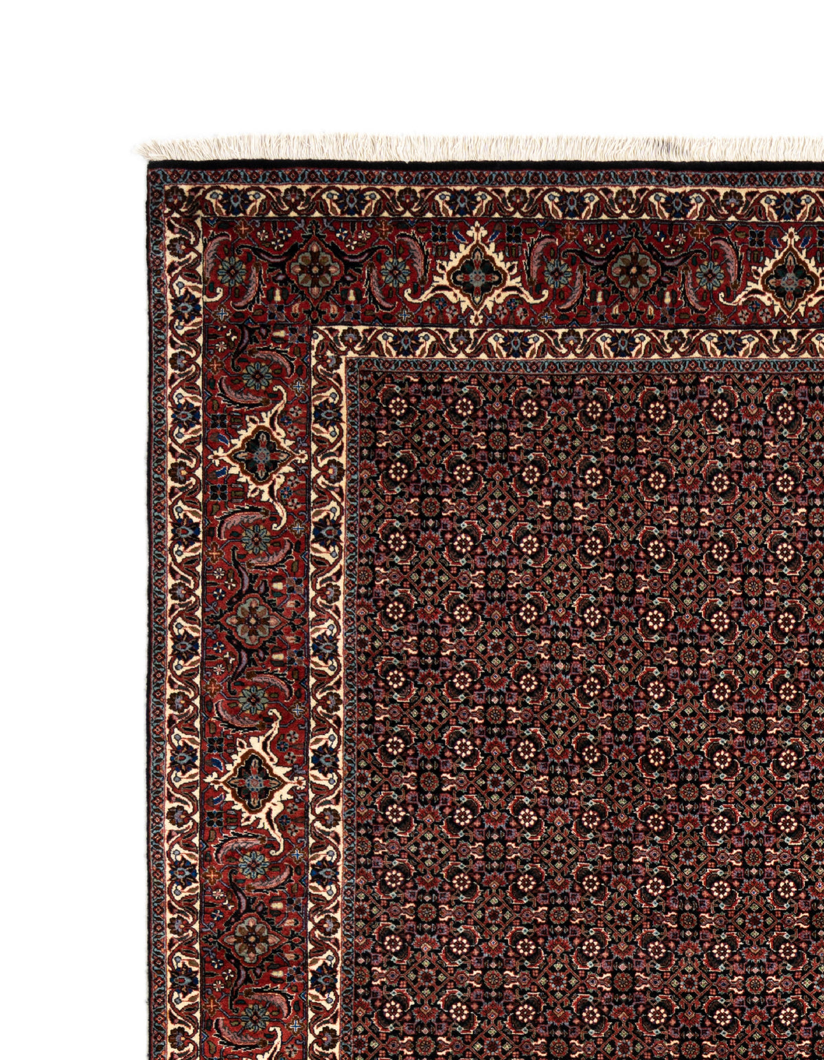 350 x 252 Bidjar