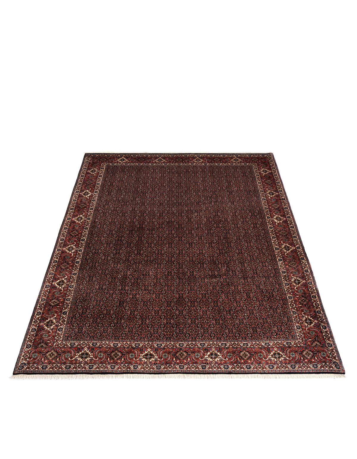 350 x 252 Bidjar