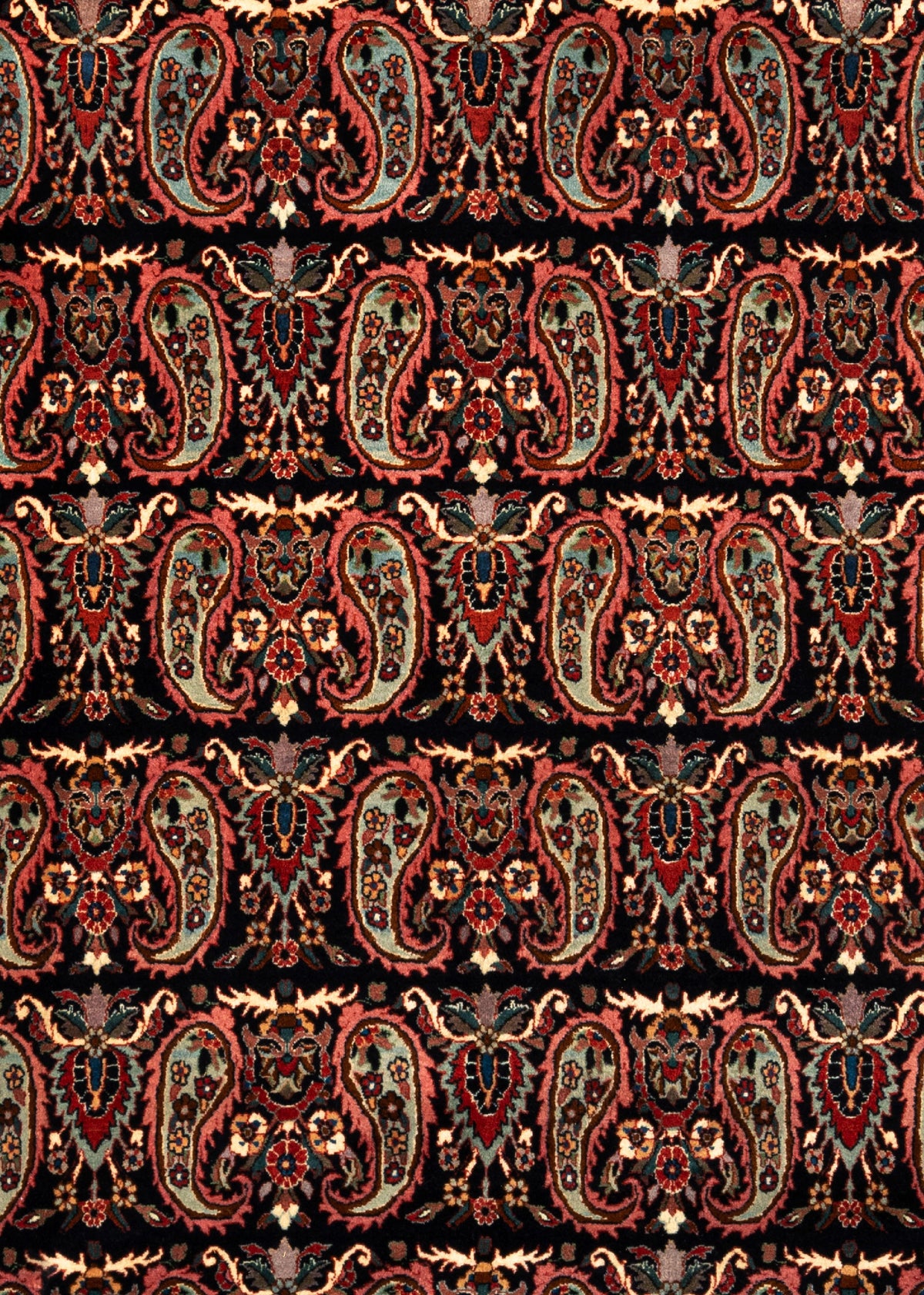 354 x 260 Bidjar