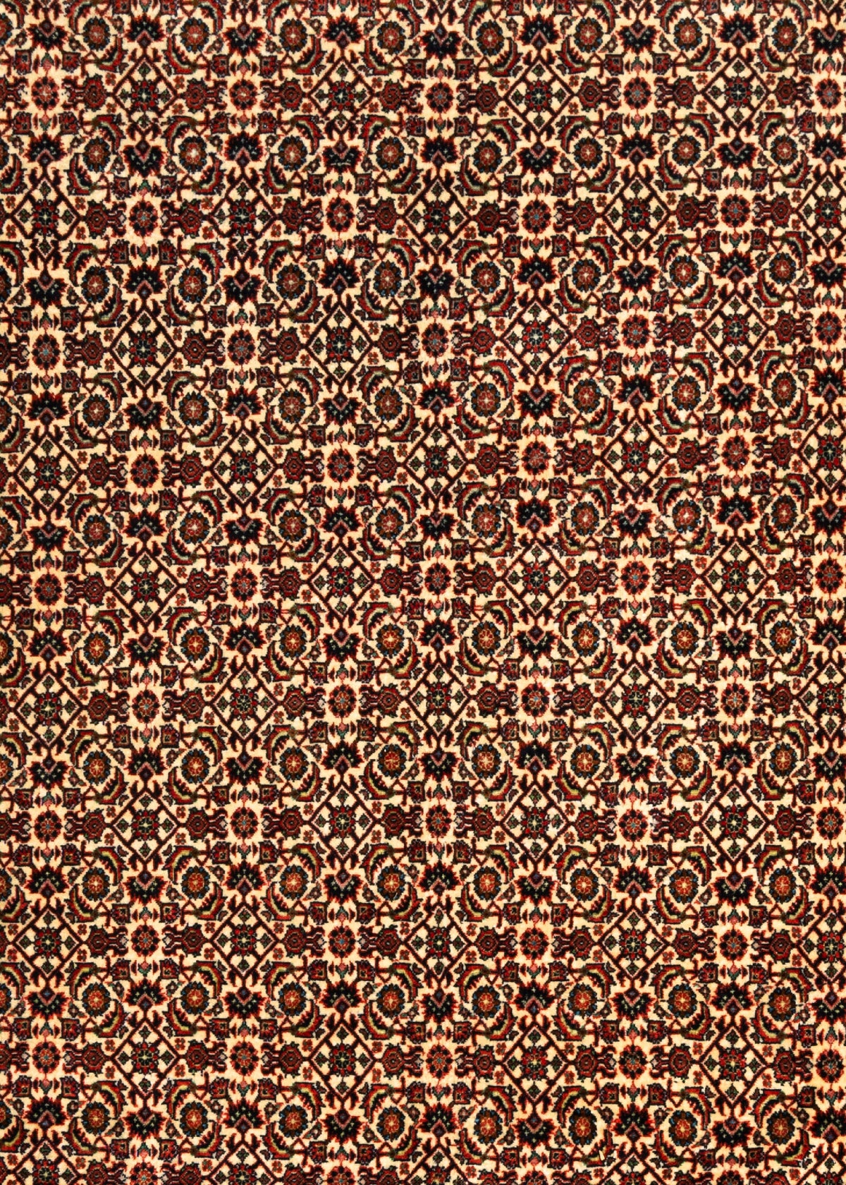 350x258 Bijar