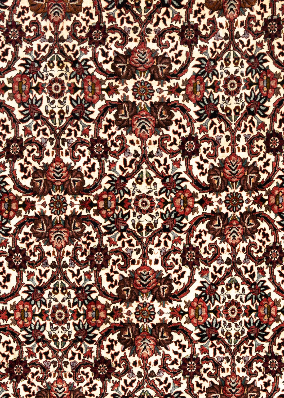 354 x 256 Bidjar