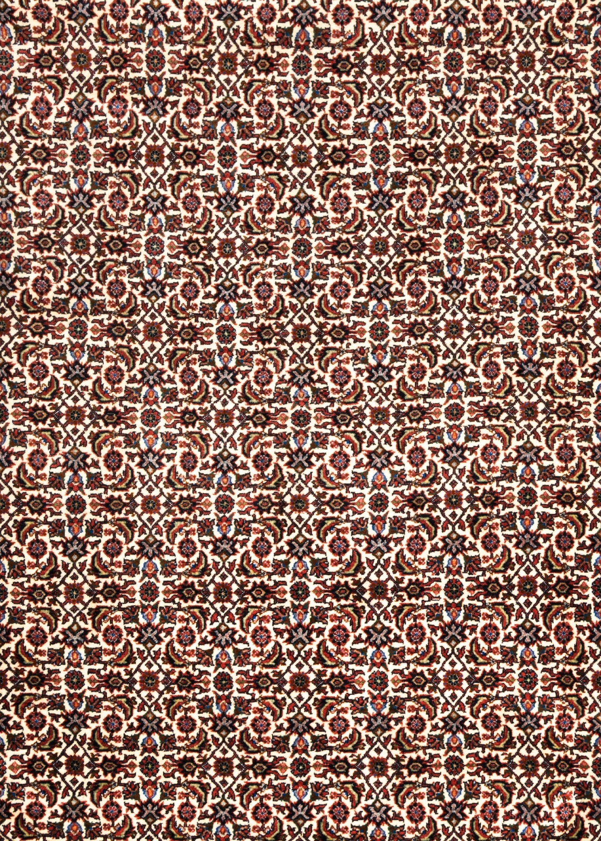 351 x 254 Bidjar