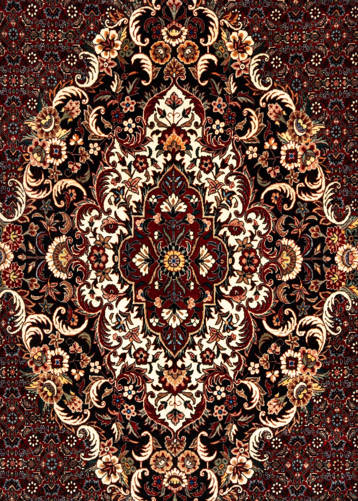 383 x 254 Bidjar