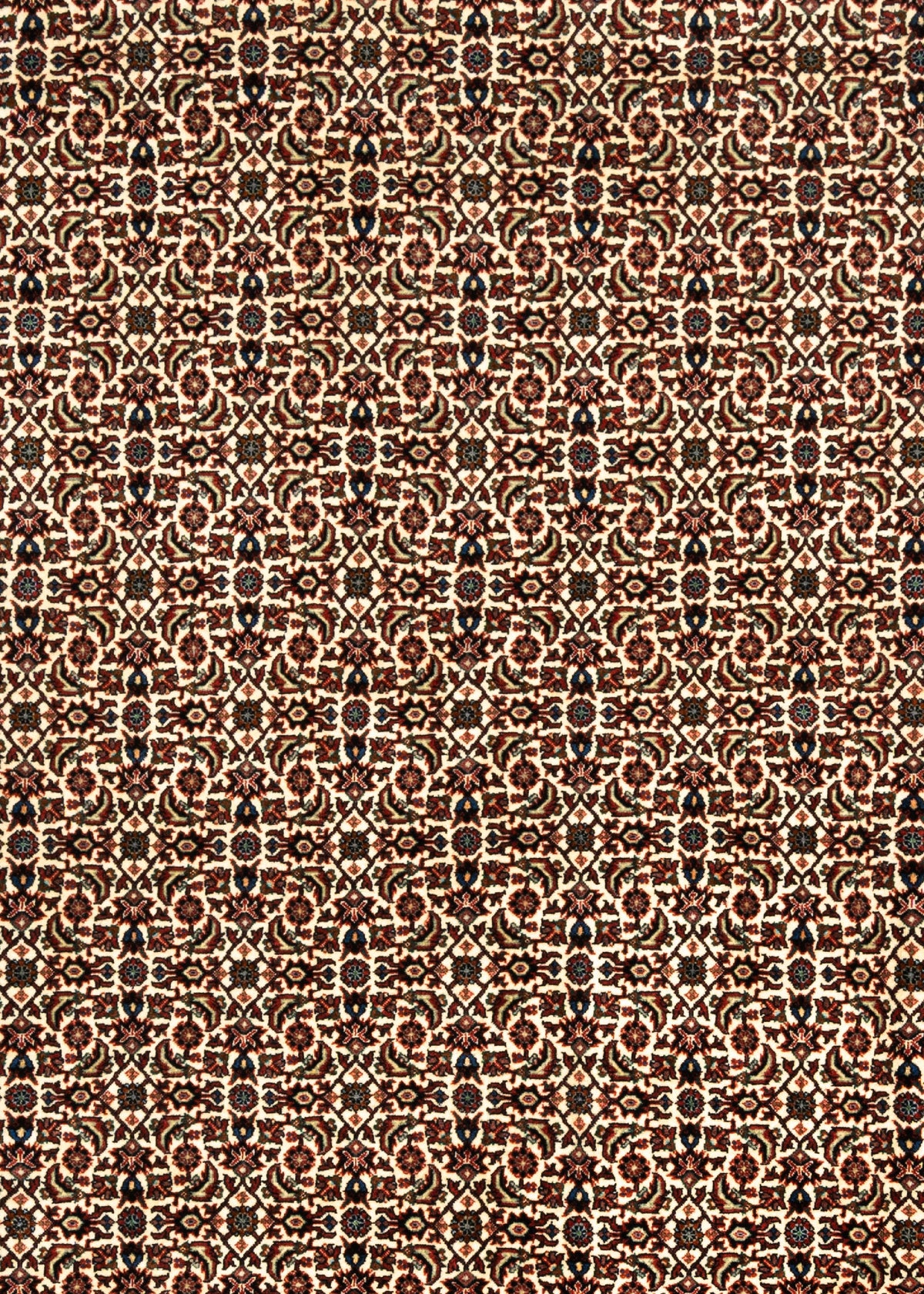 352 x 255 Bidjar