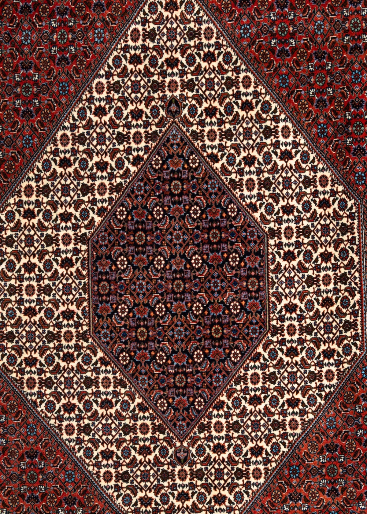 365x256 Bidjar